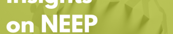 Allies Webinar December 4
