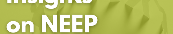 NEEP Allies &amp; Funders Webinar green logo square