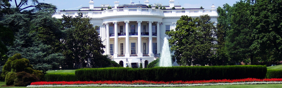 ""white house