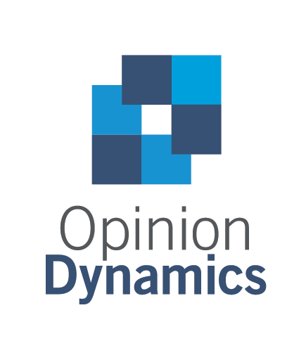 Opinion Dynamics