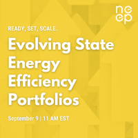 Ready, Set, Scale. Evolving State Energy Efficiency Portfolios
